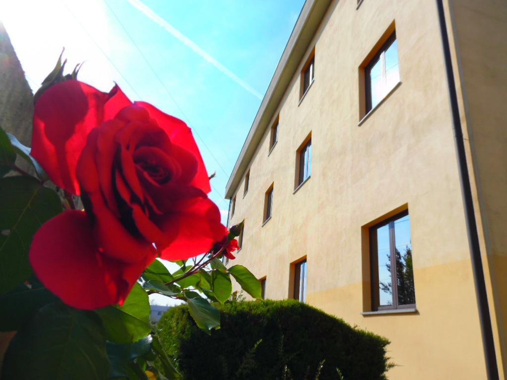 Hotel Majestic San Giuliano Milanese Eksteriør billede